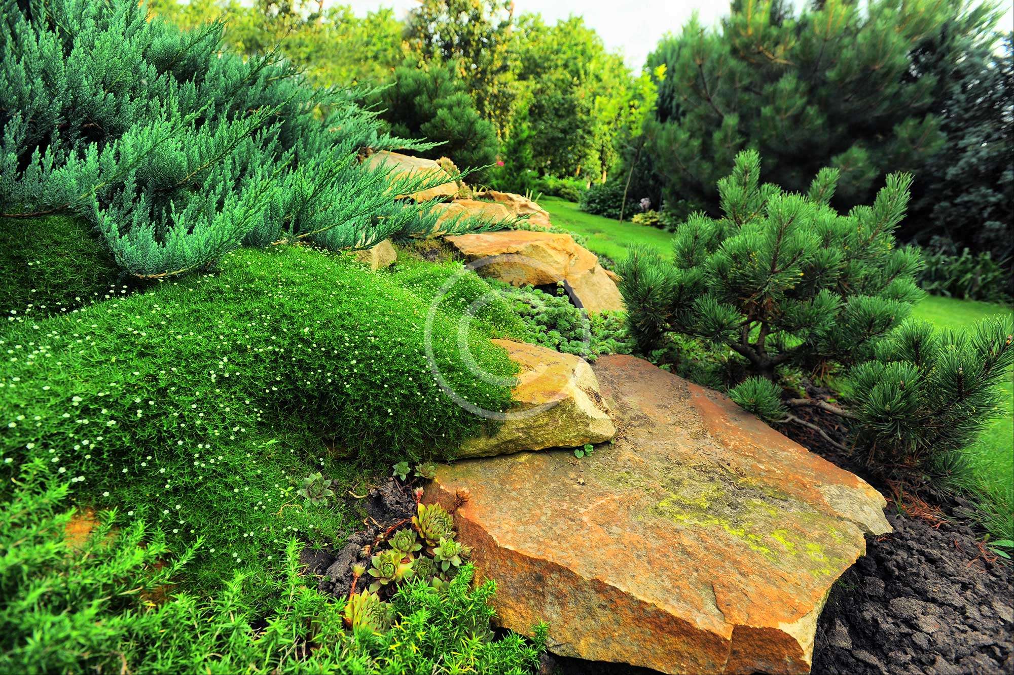 Planting a DIY Vertical Garden